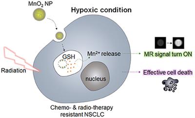 Redox-Responsive Manganese Dioxide Nanoparticles for Enhanced MR Imaging and Radiotherapy of Lung Cancer